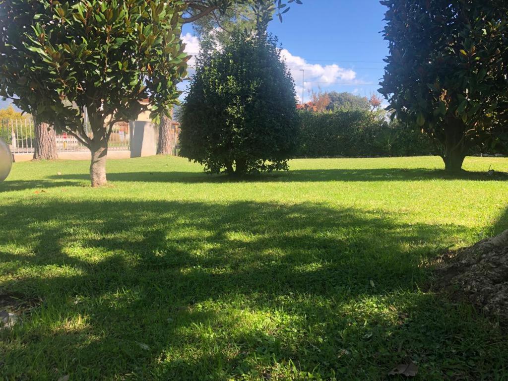 Villa Orsini - A Retreat In Pisa - Food And Relax Екстер'єр фото